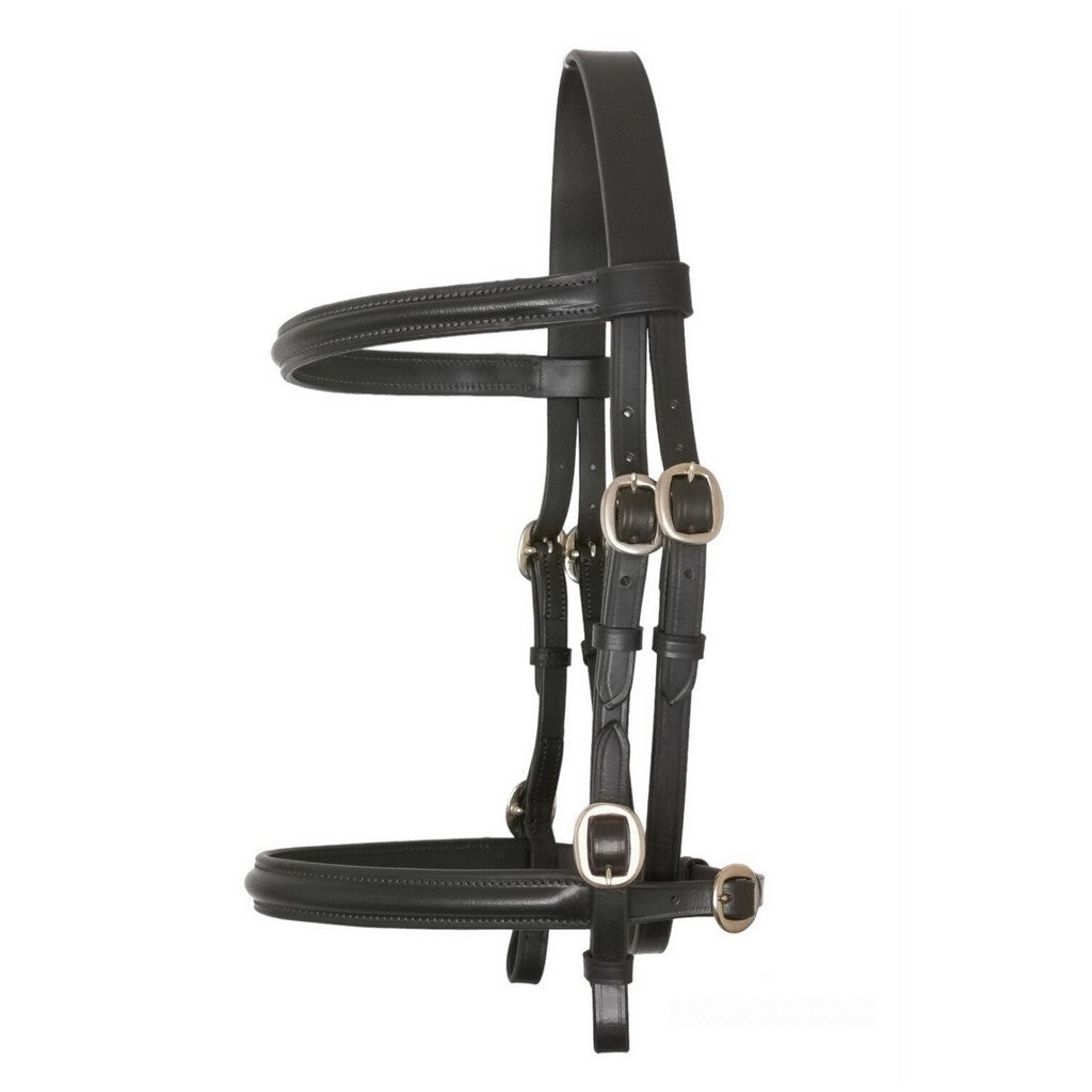 In Hand Bridle Raised