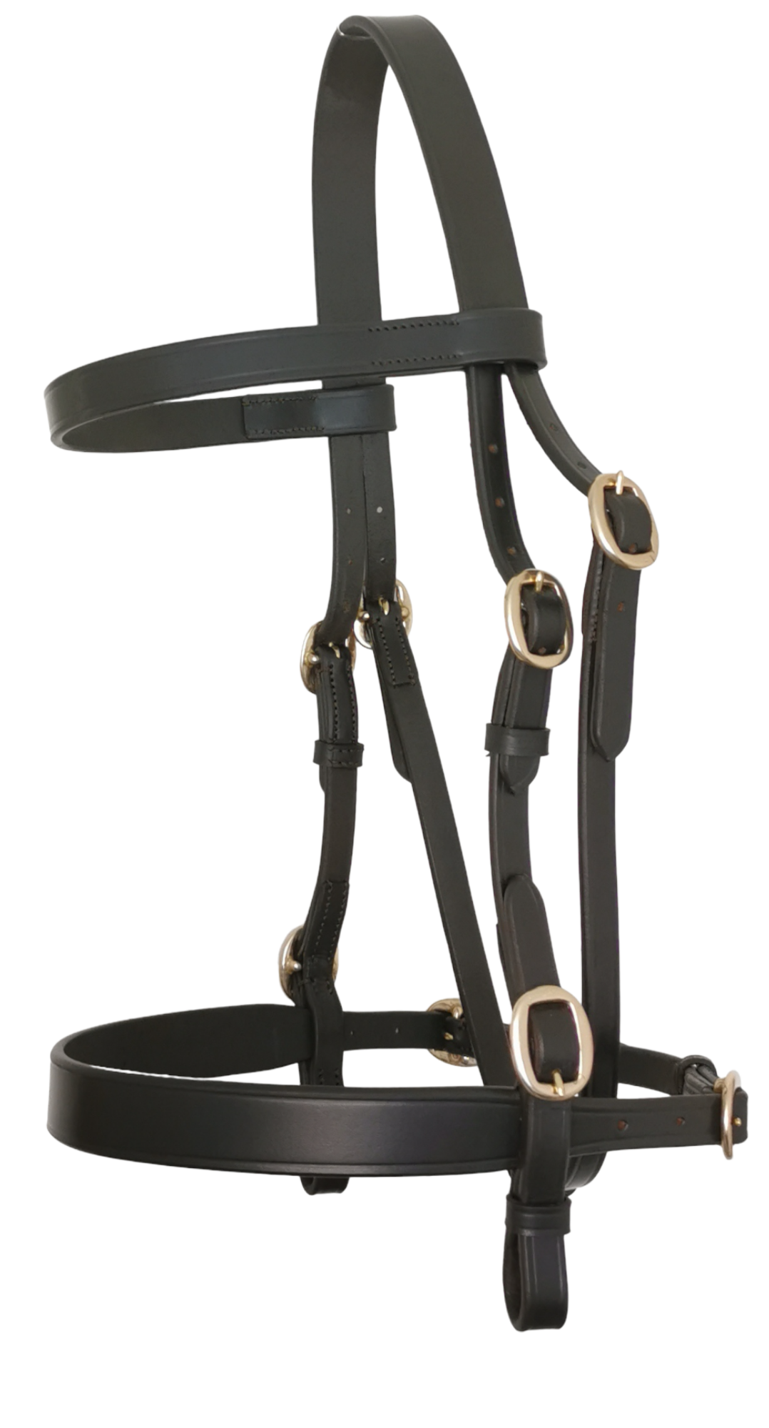 In Hand Bridle Flat