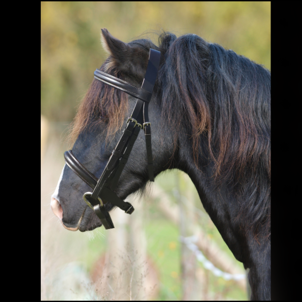 Stirling Small Pony Snaffle Bridles