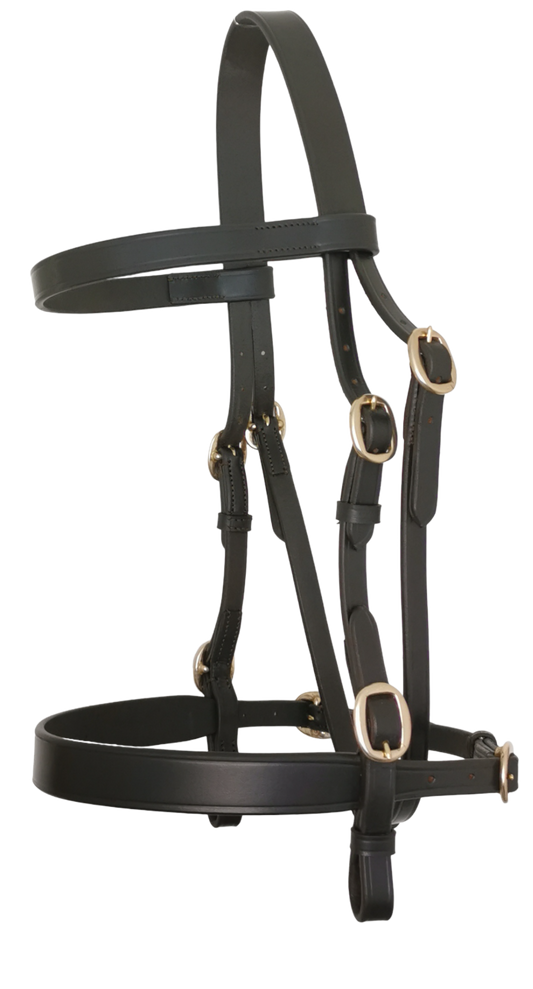 In Hand Bridle Flat