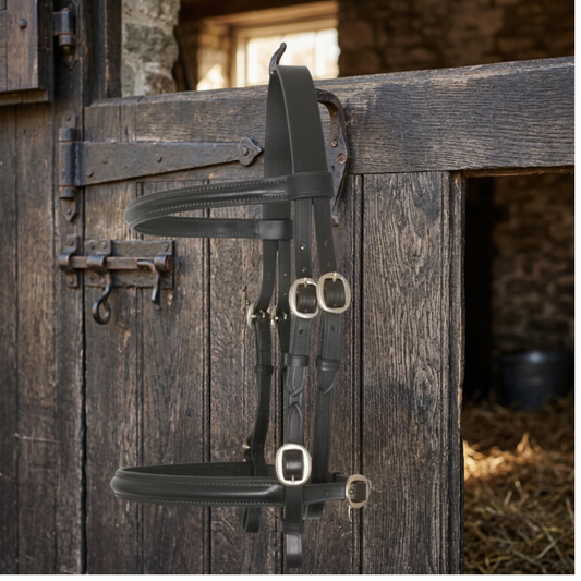 In Hand Bridle Raised